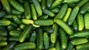 Ви зараз переглядаєте Ціни на огірки в Україні б’ють рекорди