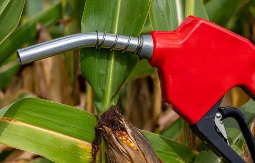 Ви зараз переглядаєте Україна має збільшити виробництво біоетанолу для експорту в ЄС – Соболев