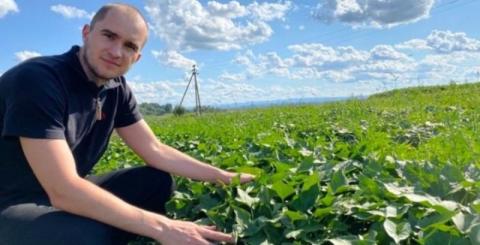 Ви зараз переглядаєте Batatko планує запустити лінію переробки батату на борошно