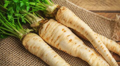 Ви зараз переглядаєте Пастернак набуває популярності у світі