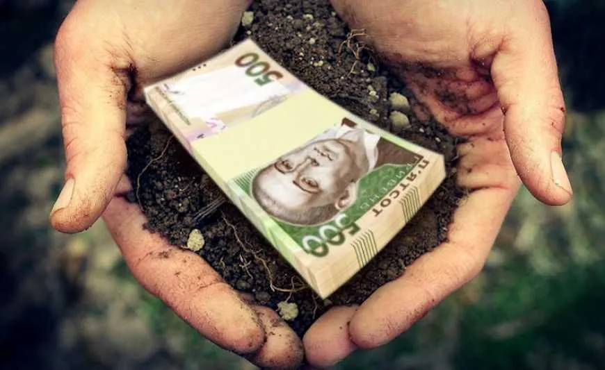 Ви зараз переглядаєте В Україні подешевшала суборенда державних сільськогосподарських земель  