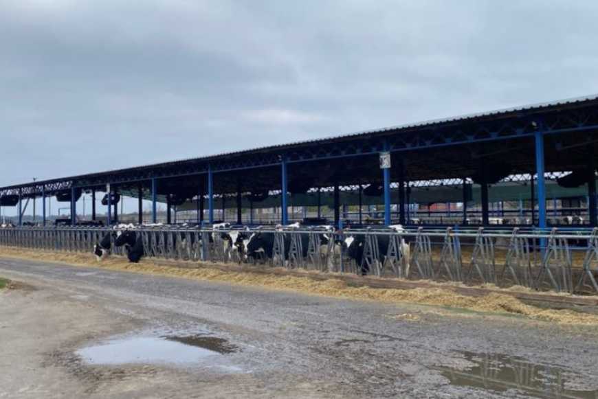 Ви зараз переглядаєте На Черкащині перероблятимуть тваринницькі відходи на екологічне органічне добриво