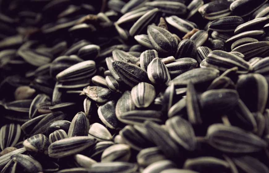 Ви зараз переглядаєте Ринок соняшнику: ціни в Україні впали ще на 800-1000 грн/т