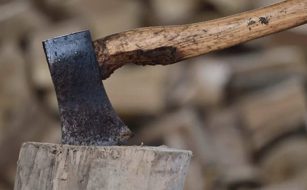 Як правильно рубати дрова: техніка безпеки та максимальна ефективність1