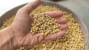 Ви зараз переглядаєте Ринок сої зберігає стабільність, але ціни на переробку знижуються