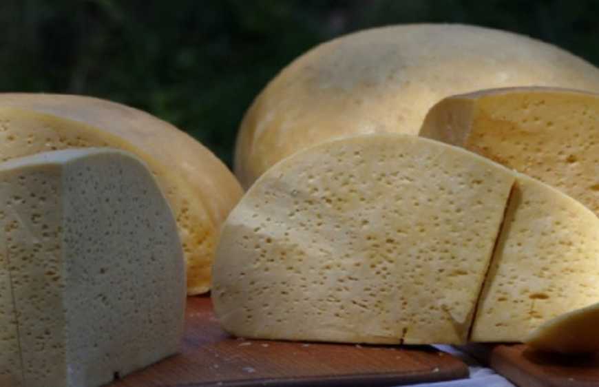 Ви зараз переглядаєте Цьогоріч виробники коров’ячої бриндзи в Україні отримали 7 млн грн грантів від ФАО