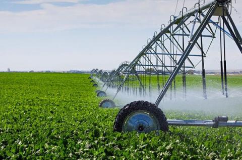 Ви зараз переглядаєте Реформа меліорації в дії: успішна співпраця держави та агробізнесу на Одещині для підвищення врожайності, – Держрибагентство