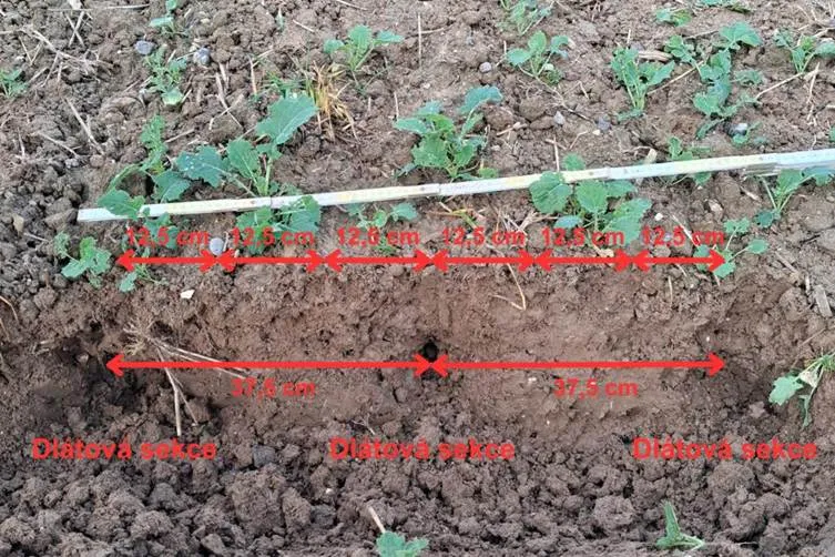 Результати випробувань: принцип роботи та переваги сівалки BEDNAR MATADOR12