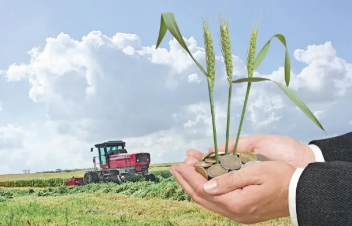 Ви зараз переглядаєте Вінницькі агровиробники адаптували бізнес до зростання витрат і ризиків