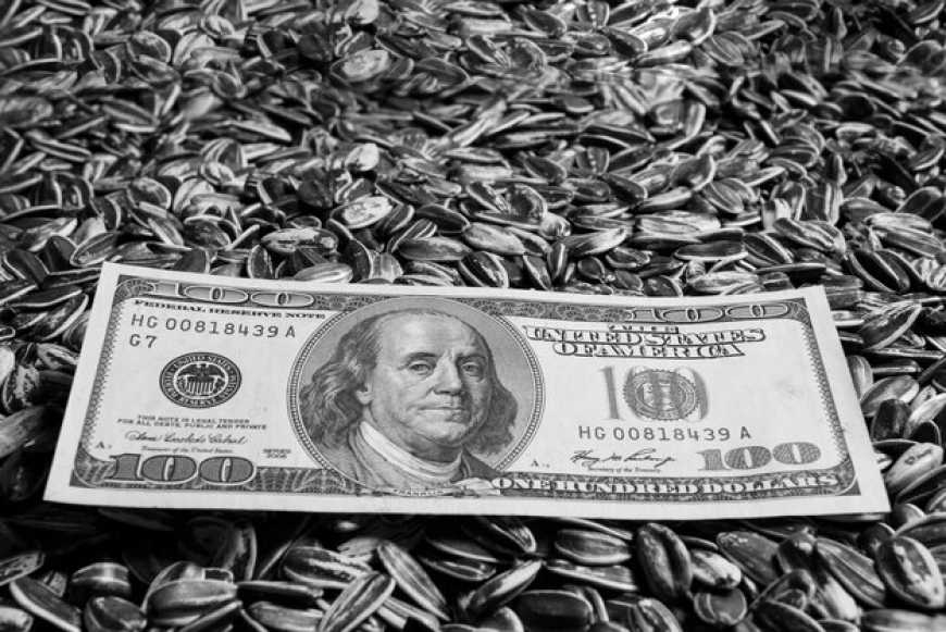 Ви зараз переглядаєте Ринок соняшнику: ціни в Україні продовжують поступово зростати на тлі високого попиту