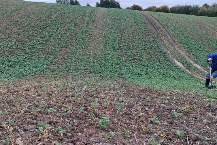 Результати випробувань: принцип роботи та переваги сівалки BEDNAR MATADOR13