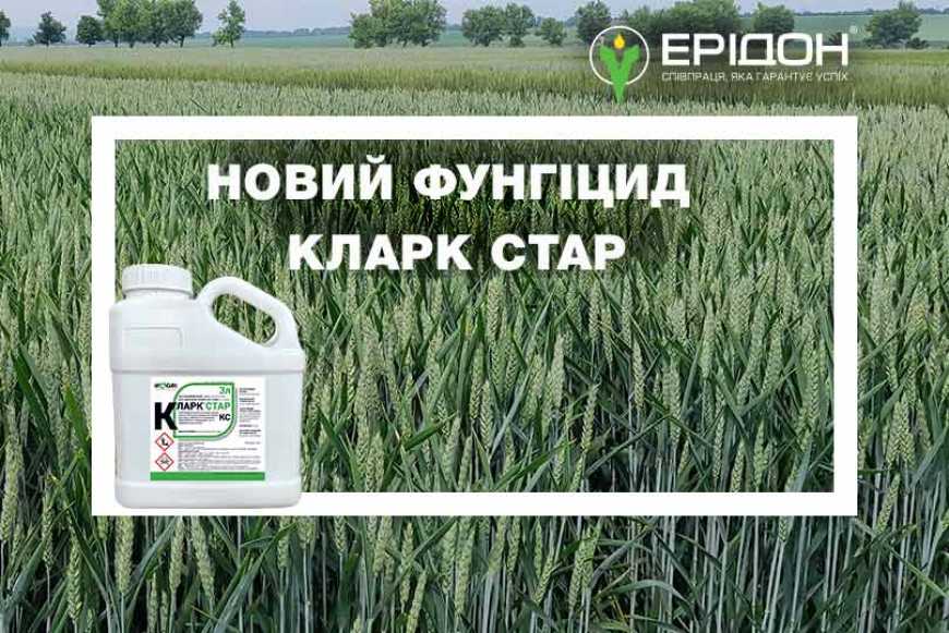 Ви зараз переглядаєте Інноваційний фунгіцид КЛАРК СТАР у портфелі засобів захисту рослин IFAGRI від «Ерідон»