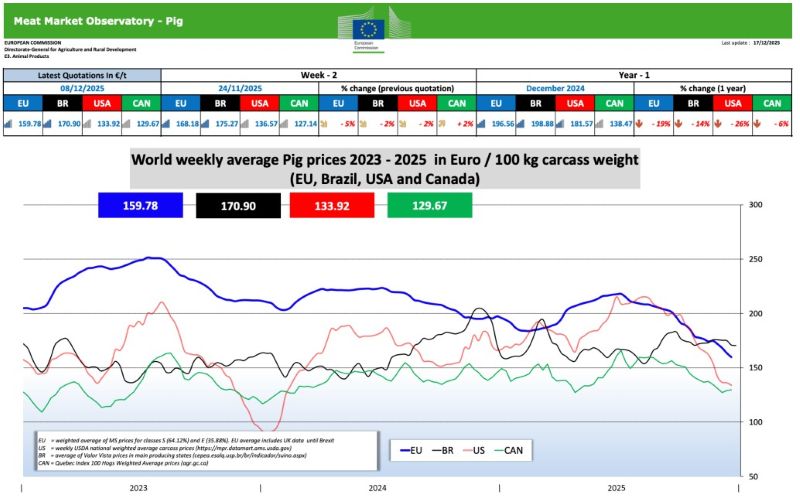 nov 29 12 2025 svini