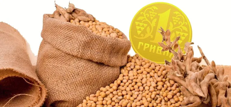 Ви зараз переглядаєте Котирування на сою в Чикаго продовжують падати, що опускає ціни на сою в Україні