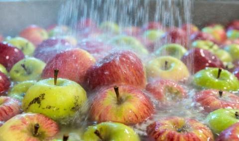 Ви зараз переглядаєте «Термотерапія» є ефективним і недорогим рішенням для зберігання яблук