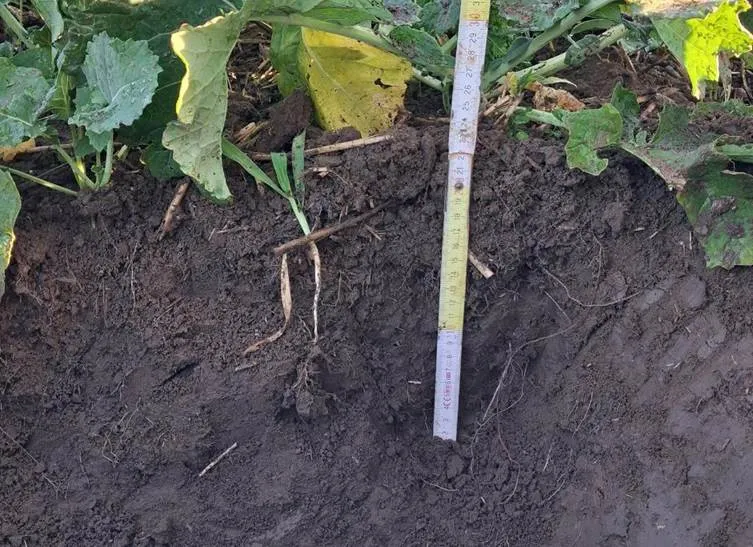 Результати випробувань: принцип роботи та переваги сівалки BEDNAR MATADOR7