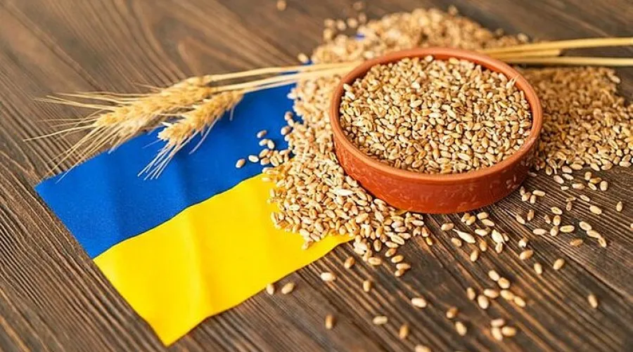 Ви зараз переглядаєте Логістичні проблеми загрожують експорту врожаю 2025 р