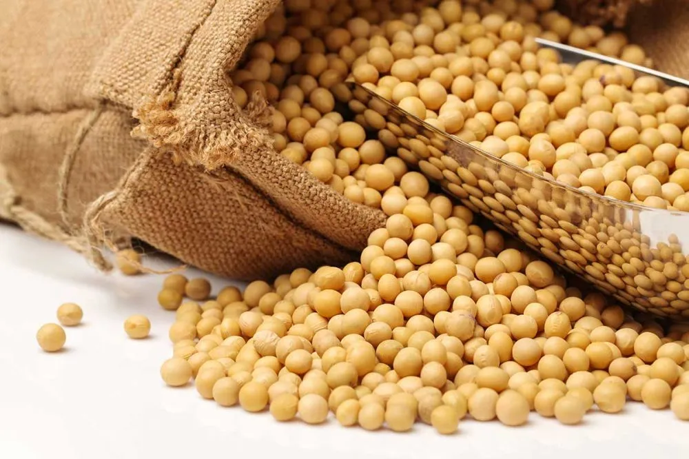 Ви зараз переглядаєте На Одещині викрили схему тіньового експорту соєвих бобів