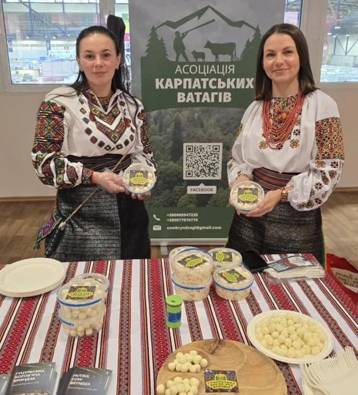 Ви зараз переглядаєте У Карпатах зростає виробництво коров’ячої бриндзи