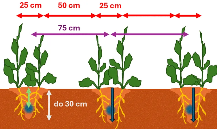 Результати випробувань: принцип роботи та переваги сівалки BEDNAR MATADOR4