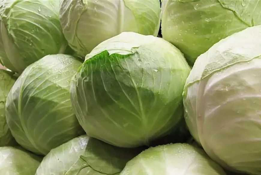 Ви зараз переглядаєте В Україні білоголова капуста за тиждень подешевшала на 17%