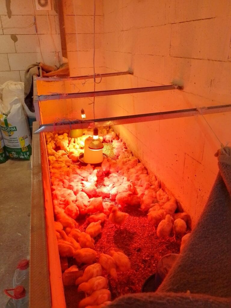 Грантова підтримка допомогла розвинути фермерське господарство3