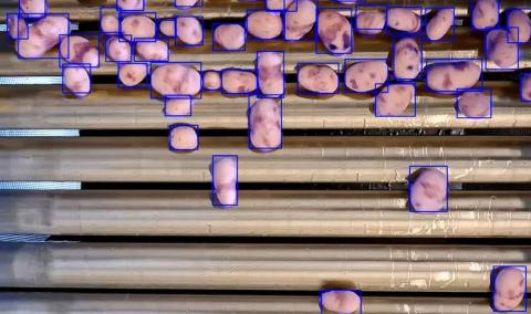 Ви зараз переглядаєте Бельгійський ШІ навчився ідеально чистити картоплю та овочі