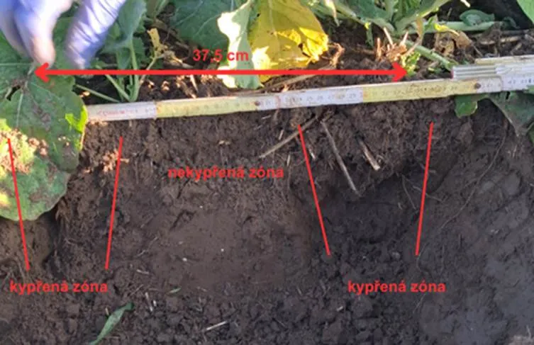 Результати випробувань: принцип роботи та переваги сівалки BEDNAR MATADOR6