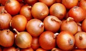 Ви зараз переглядаєте Ціни на цибулю в Україні знизилися