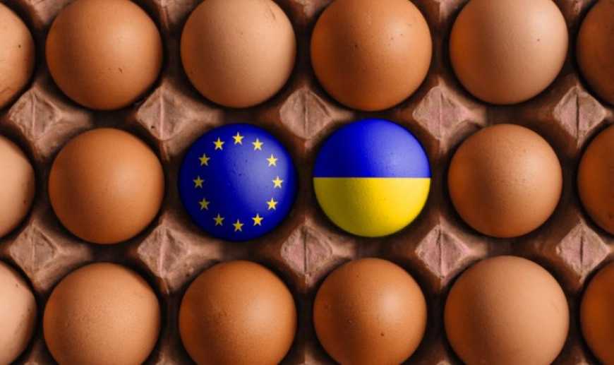 Ви зараз переглядаєте Попит на українські яйця зростає в Європі