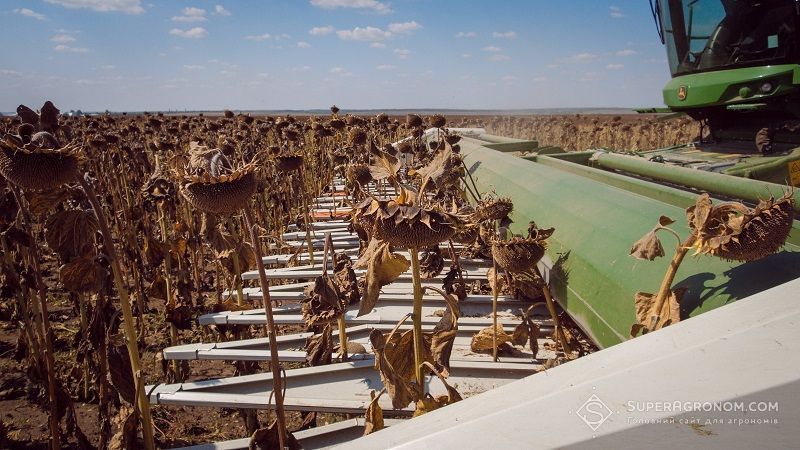 Ви зараз переглядаєте На Вінничині підбили підсумки агросезону 2025: область в ТОП-5 за обсягами виробництва зернових культур, цукрових буряків, соняшнику