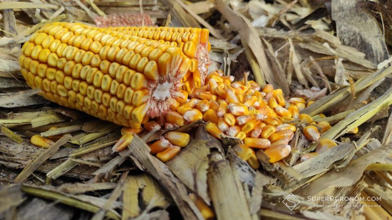 Ви зараз переглядаєте На забезпечення виробництва біоетанолу в Україні щорічно буде потрібно 3 млн т кукурудзи