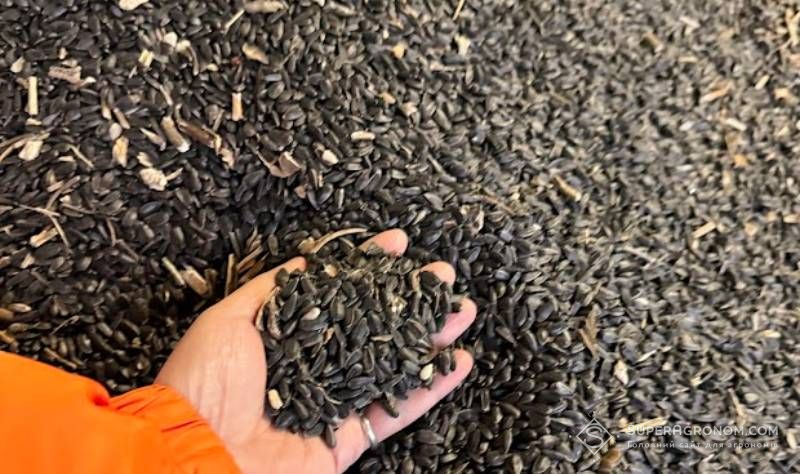 Ви зараз переглядаєте Різкий обвал цін на соняшник не має об’єктивних ринкових причин — аналітик