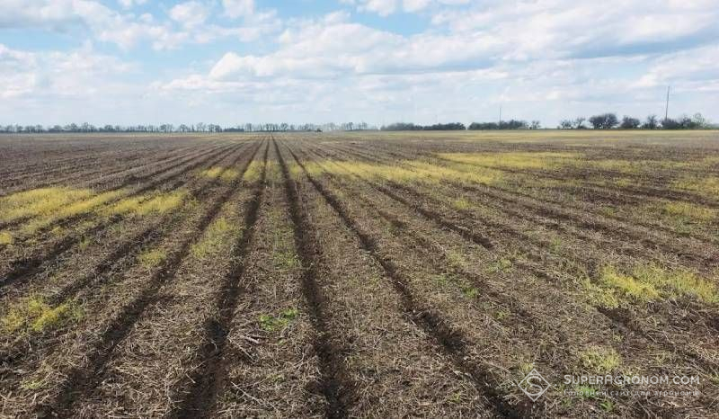 Ви зараз переглядаєте В ІМК удвічі зменшили норму меліорантів і отримали прибавку врожайності від +0,5 до 2 т/га