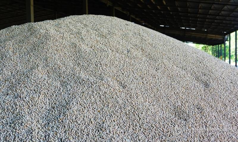 Ви зараз переглядаєте В Україні будують заводи з виробництва біоклею з гороху, їм потрібні удвічі більші обсяги за наявні площі під культурою