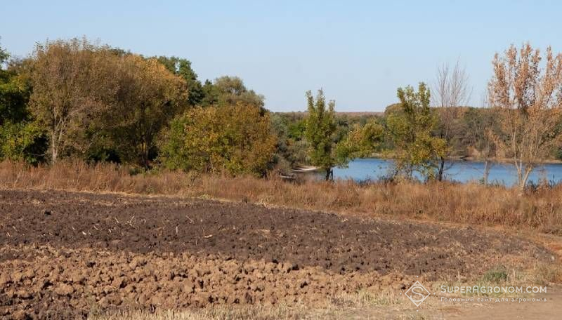 Ви зараз переглядаєте Вирощував соняшник на осушених ставках — орендовані фермером землі повернули громаді