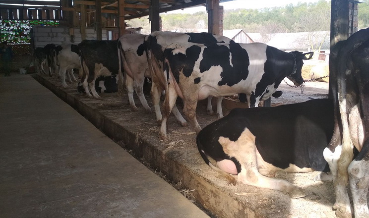 Ви зараз переглядаєте Збільшено компенсацію вартості будівництва ферм на прифронтових територіях