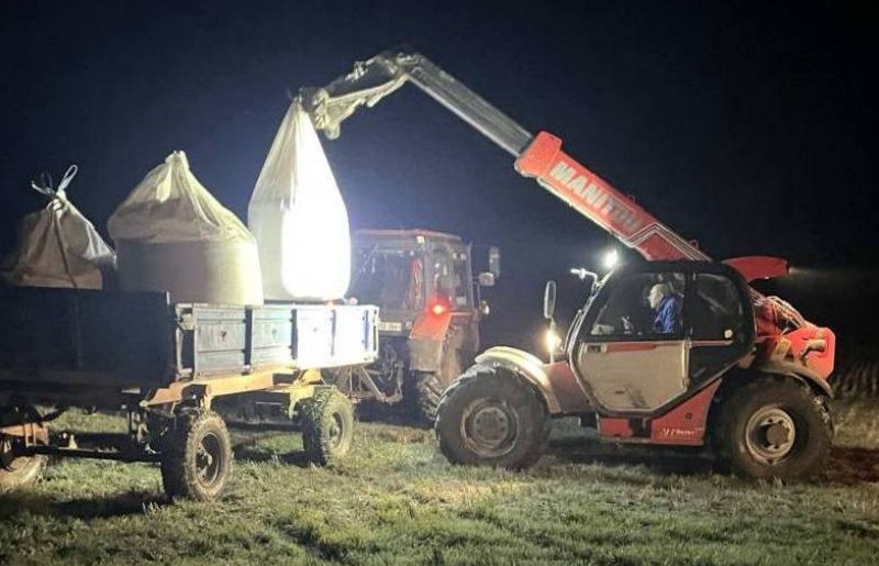 Ви зараз переглядаєте Зимуючий горох завершили сіяти в грудні в господарствах на Одещині