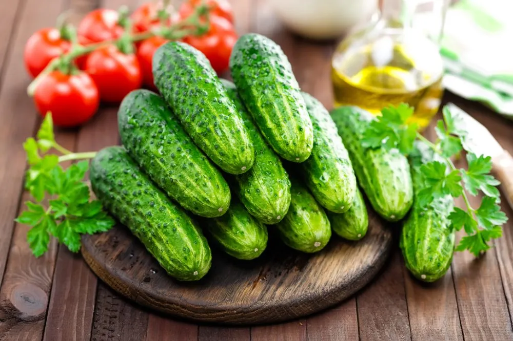 Ви зараз переглядаєте Стало відомо, які огірки сіяти в новому сезоні