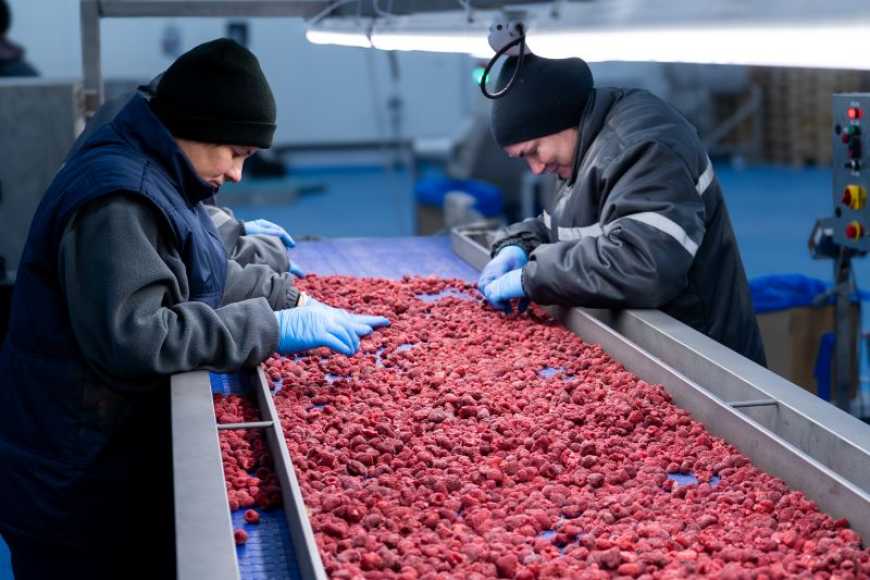 Ви зараз переглядаєте На Львівщині Кам’янка-Бузький завод перероблятиме овочі та вишню