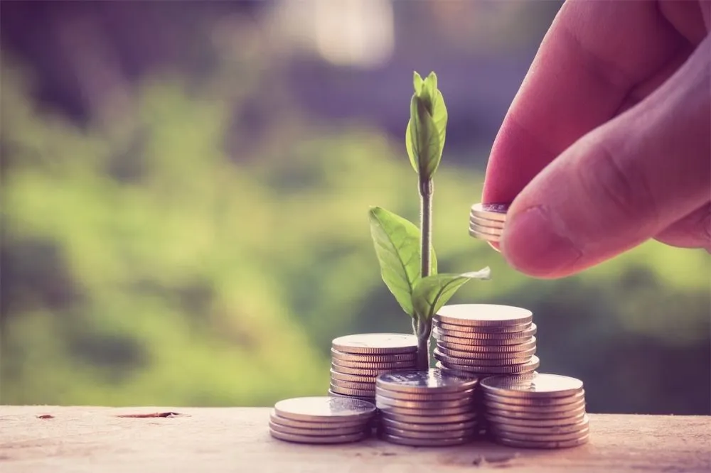 Ви зараз переглядаєте У 2025 р в Україні зросли інвестиції в нішеві культури та садівництво