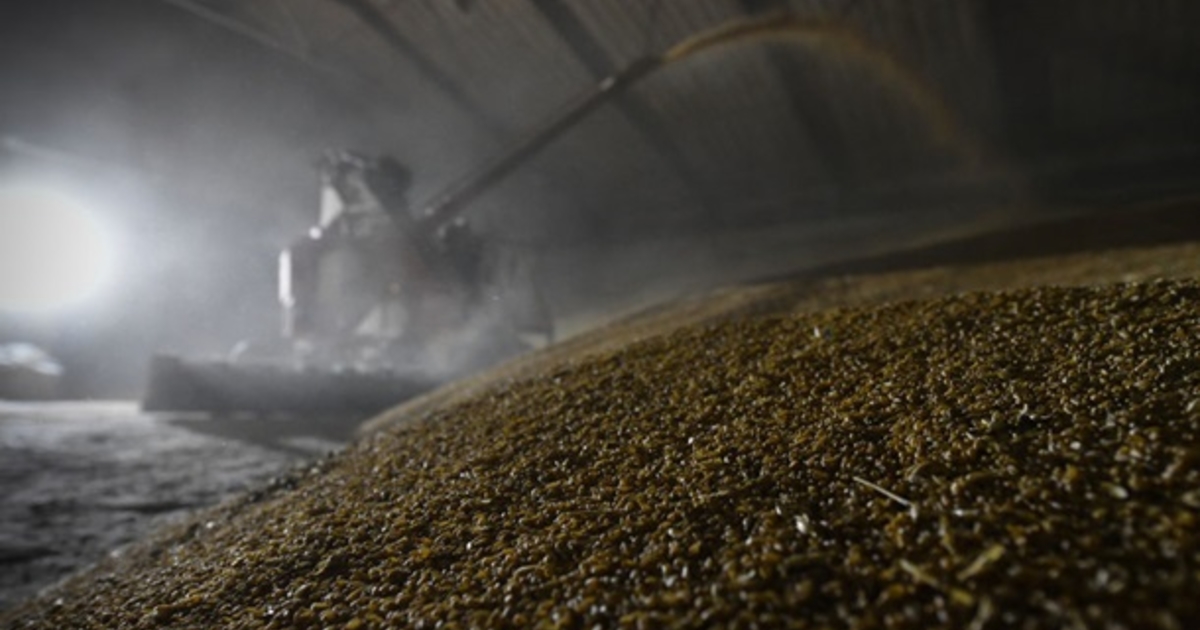 Ви зараз переглядаєте росії вдалося значно скоротити експорт зерна з України