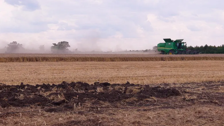 Ви зараз переглядаєте За 2025 р аграрії Херсонщини втратили майже 60 тис га посівів