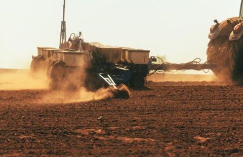 Ви зараз переглядаєте В Україні можна отримати ваучер на насіння та мінеральні добрива для посівної