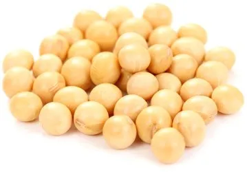 Ви зараз переглядаєте Українська соя масово йде до Туреччини: 200 тисяч тонн експорту за місяць