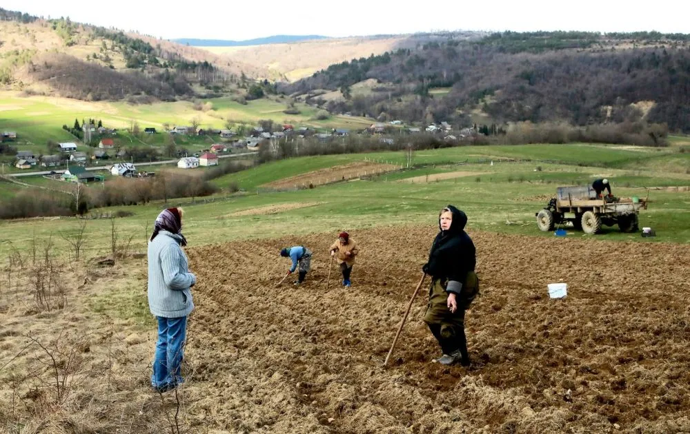 Ви зараз переглядаєте Чи можлива безоплатна приватизація землі для ОСГ до 2 га під час воєнного стану
