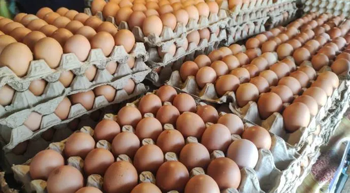 Ви зараз переглядаєте Топ-3 країн, які купують найбільше яєць в Україні