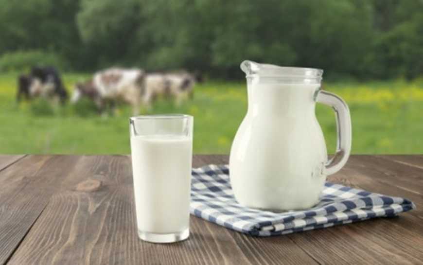 Ви зараз переглядаєте Україна утримує абсолютне лідерство у постачаннях молока до Молдови