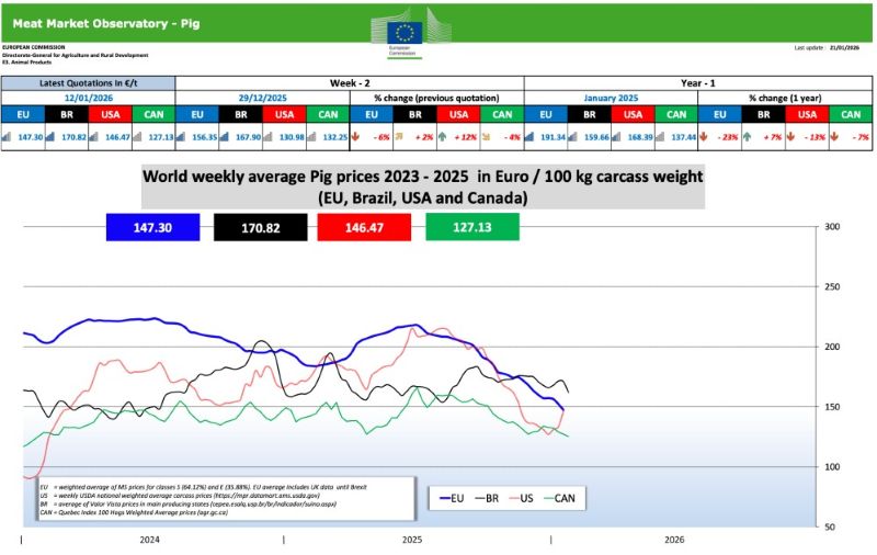 nov 26 01 2026 svini