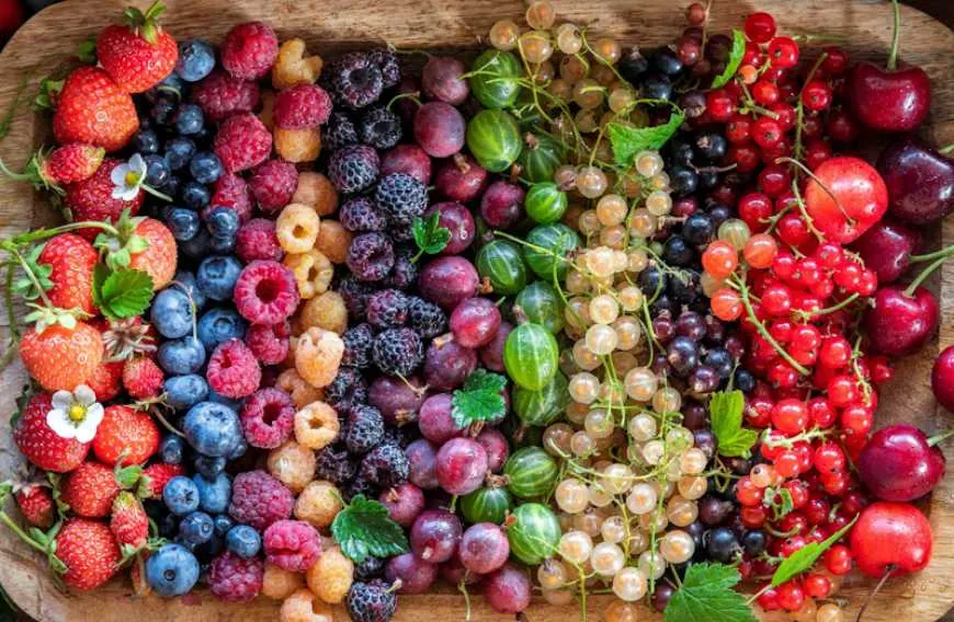 Ви зараз переглядаєте Експертка назвала ключові тренди, які визначатимуть майбутнє ягідництва в Україні